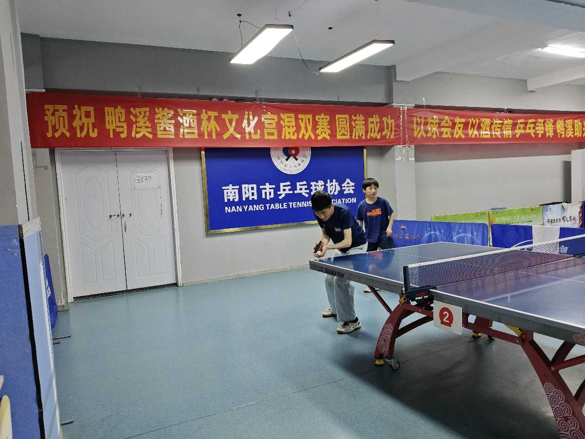 【南阳市文化宫“鸿锋光电杯”乒乓球团体赛】诗词专辑（图20）