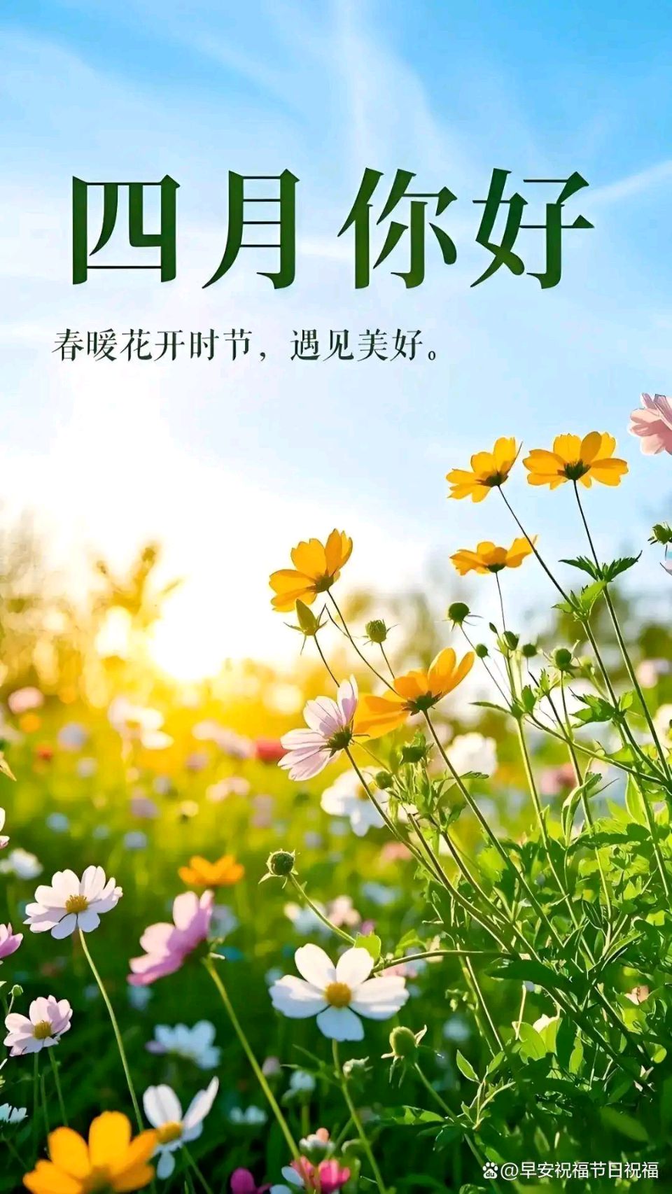 请欣赏《四月你好 外一首》作者寒风/主播.编辑渺邈【中国长江文学社】有声文学平台【第17552期】（图3）