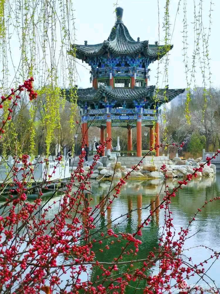 诗韵佳园《俊侠清吟》精品诗专刊(第2期)(图53)