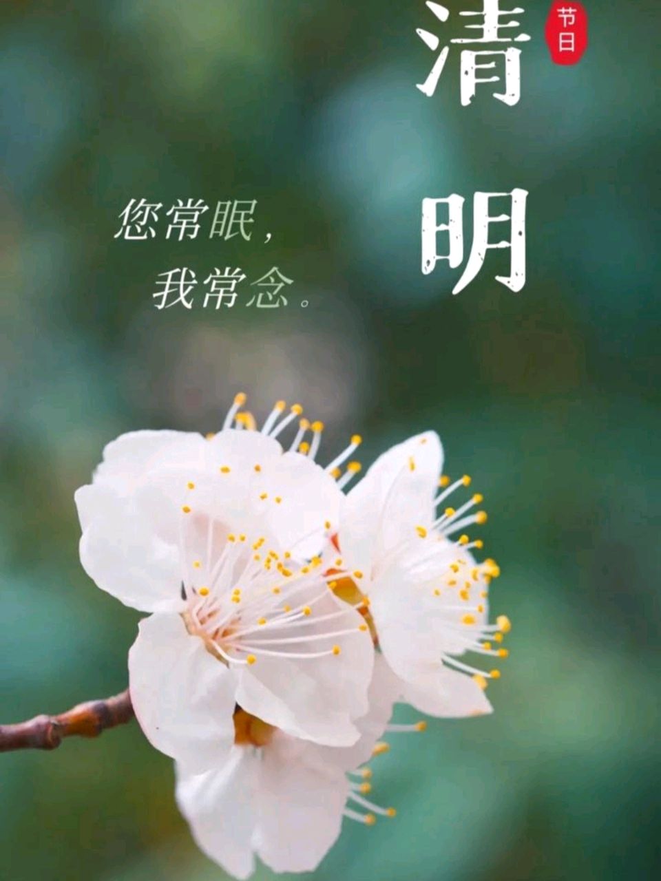 《九江文学社：北京头条》洪新爱清明专辑（图3）
