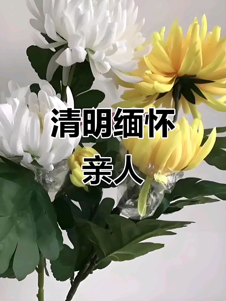 江城子.清明祭父母文/熊华明（图3）