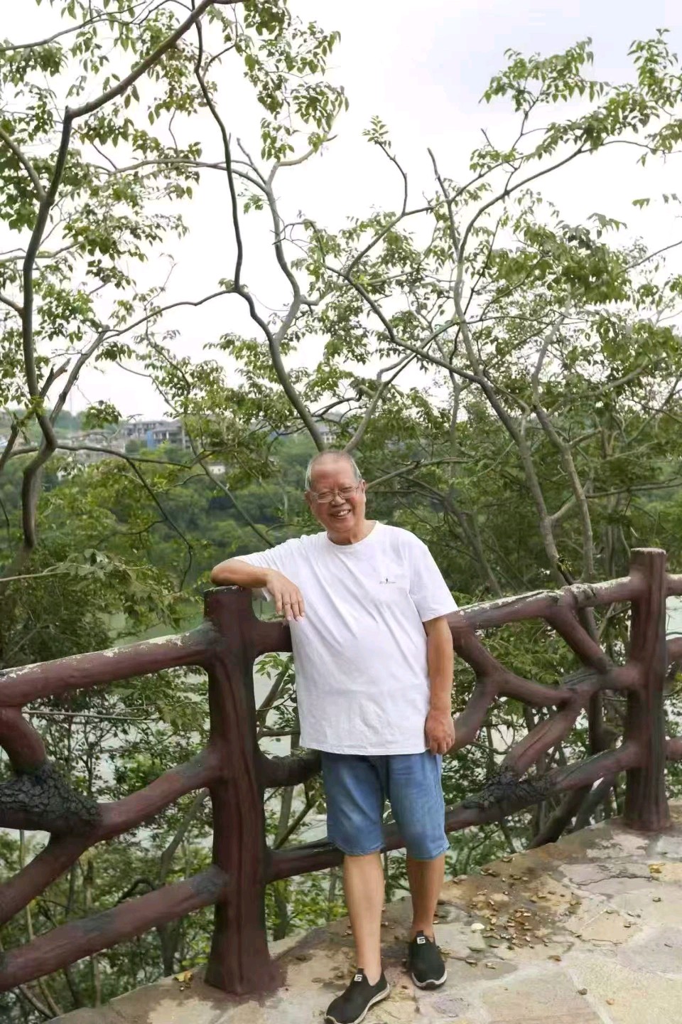 湖北湖南知名诗人精彩清明诗词与君共赏(图8)