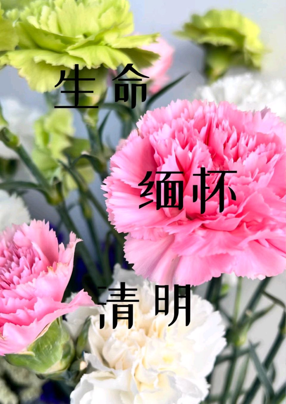 【五湖四海】文学社*江城子·清明踏青（韦庄体）何金文（河南）（图5）