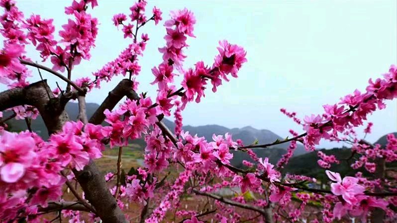【都市精英文学社】优秀诗人于金奎诗词欣赏（图14）