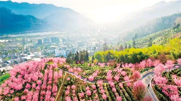 【荣耀中国】文学社*七律·清明日李德政（安康）（图5）