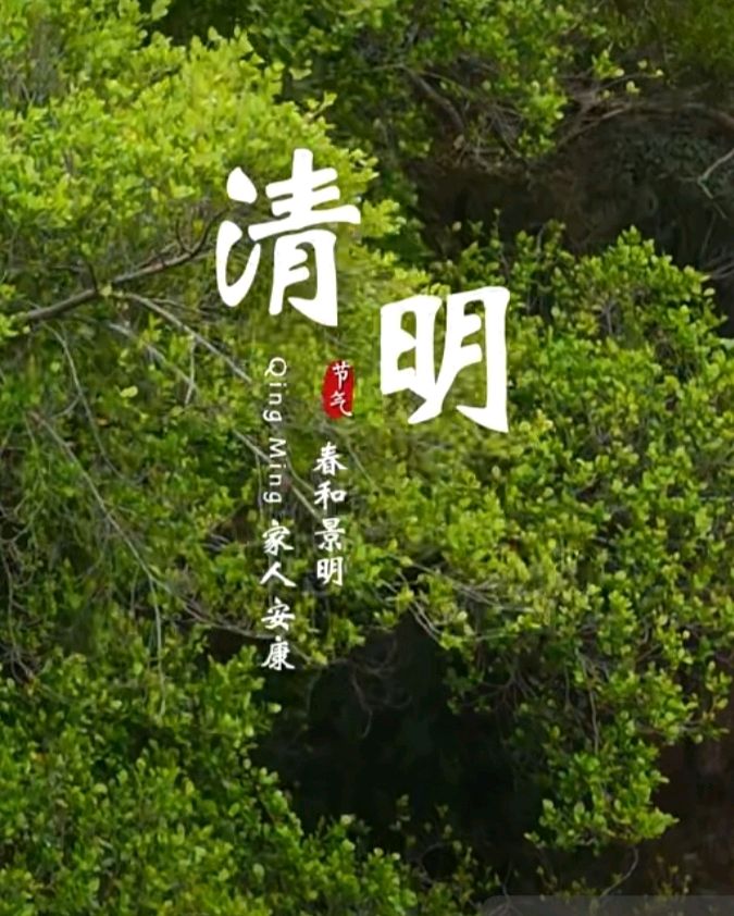 孝德颂·清明感怀 合咏～李宣财（福建）（图11）