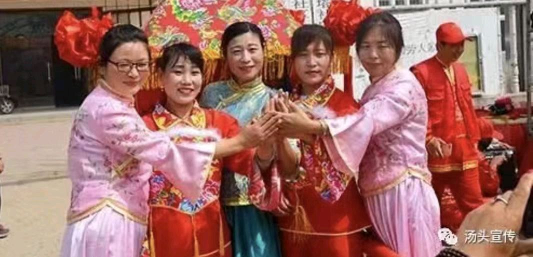 【中国诗人】文坛*汤头《清明逢大会》 现场纪实 丰茂春（图13）