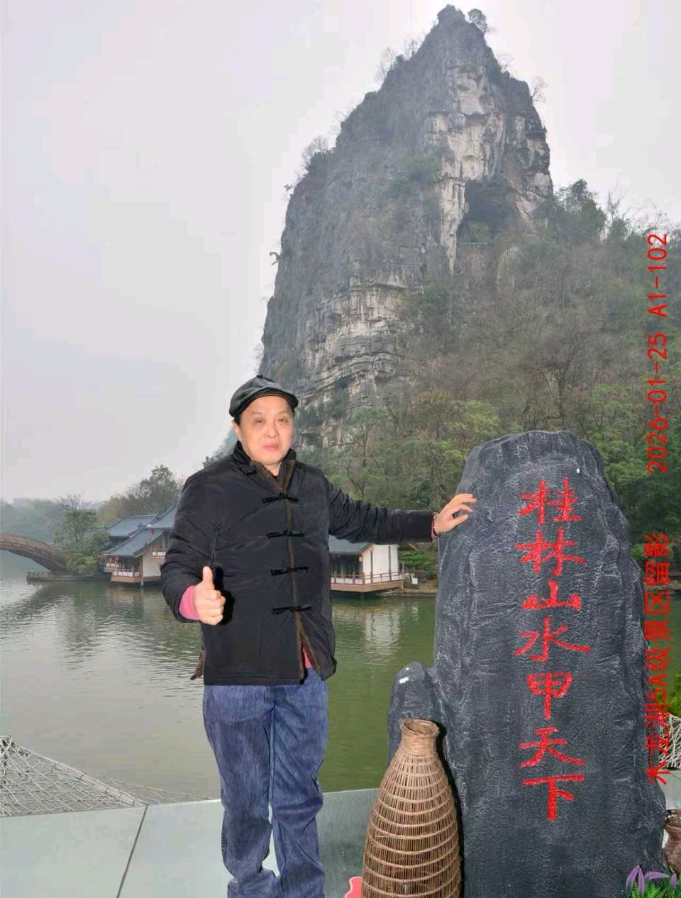 祭逝.胡风楚月