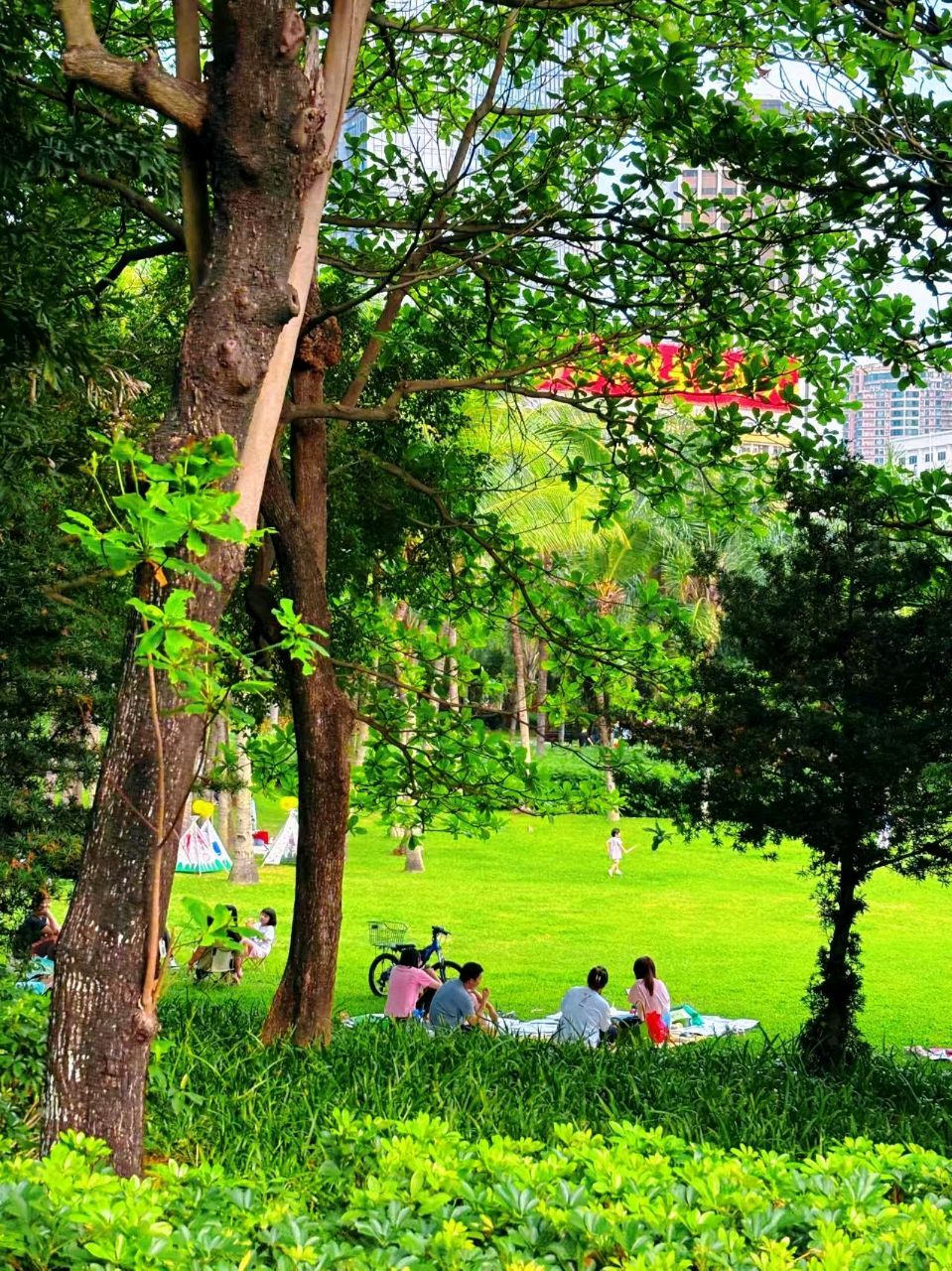 《来了就是深圳人》（外五首）作词：潘毅（图37）