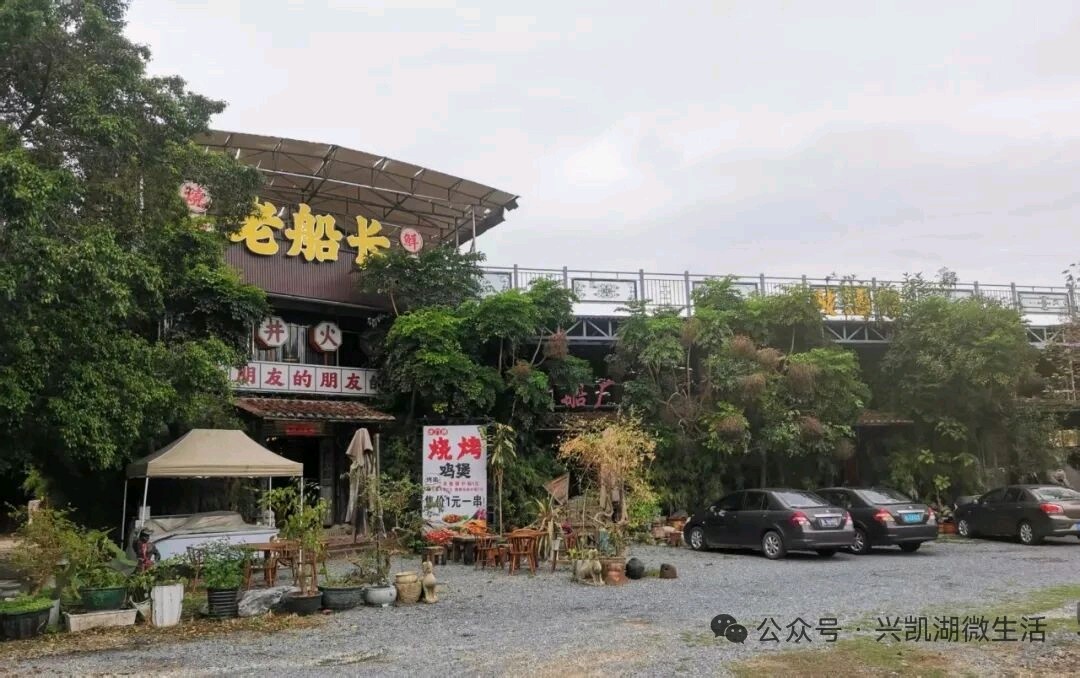 在南粤大地凿刻灵魂的归(序)《一个东北人的南粤情》/ 高翠萍(图13)
