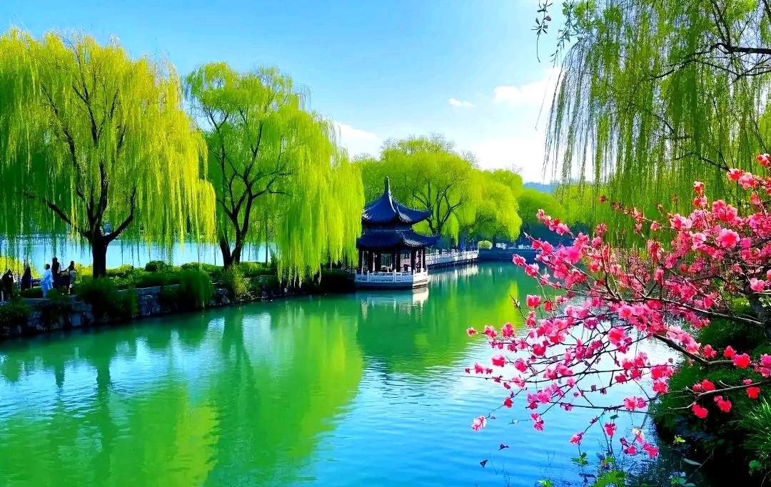 长相思-杨花飞处（组合）马文智（河北）（图21）