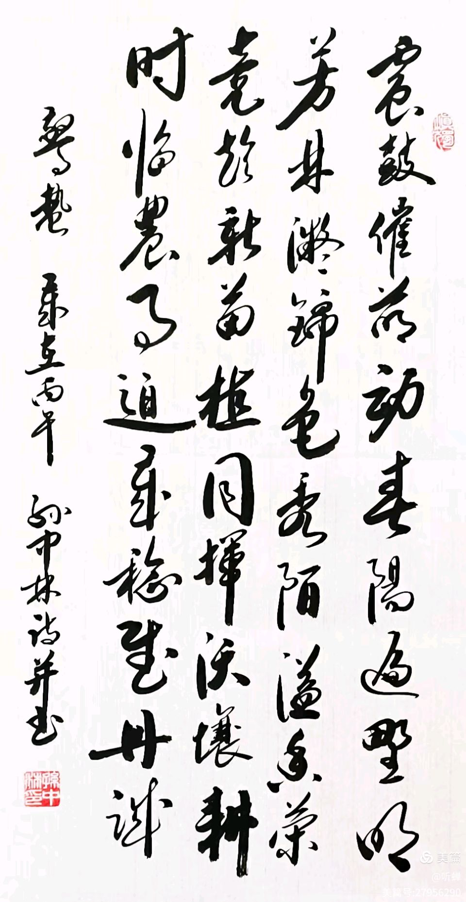华夏流水诗社/2026年听蝉诗词专辑（28）（图11）