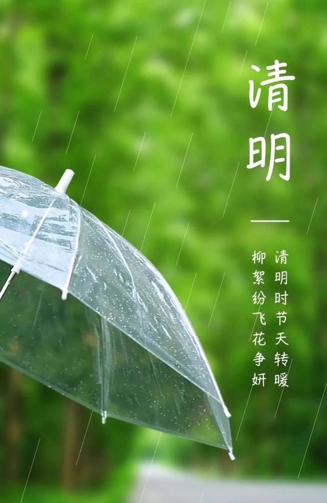海外头条:莲心清明节作品五篇~荐赏褚化冰(阳光柔剑)(图9)