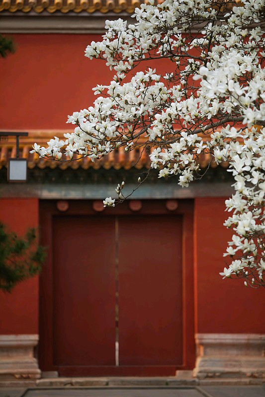 春赋：人间最美是春来（图6）