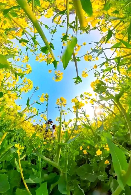 对句练习（60）||巴彦诗协【1134】（图6）
