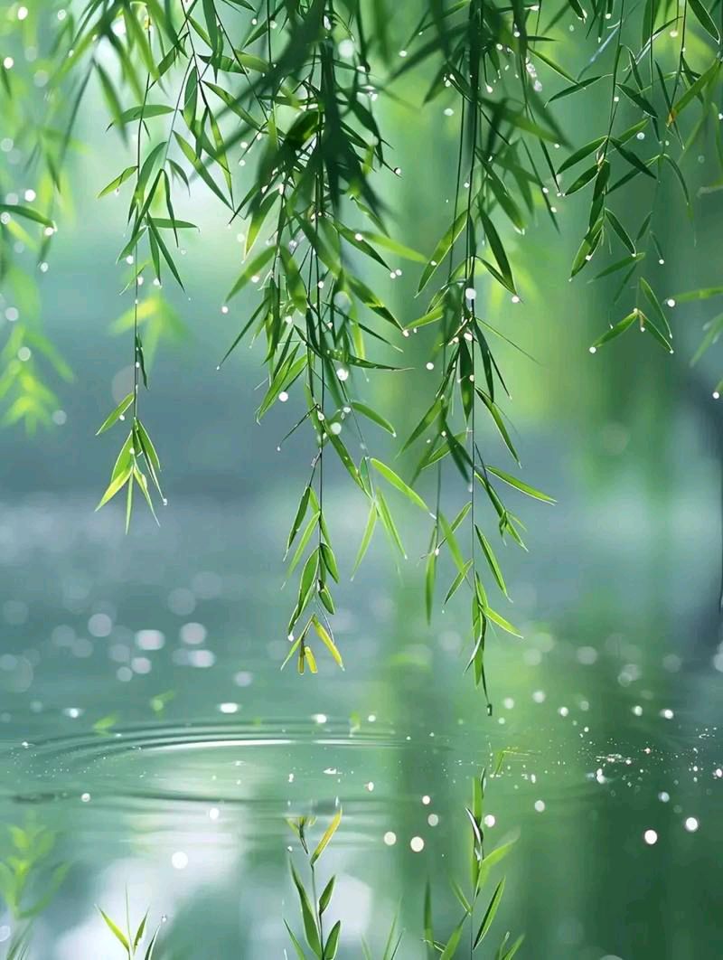 满庭芳·谷雨春声 作者:刘建设（图4）