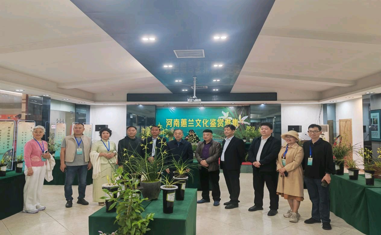 国色天香遇王者之香！河南蕙兰文化鉴赏雅集洛阳启幕，盛况空前（图2）