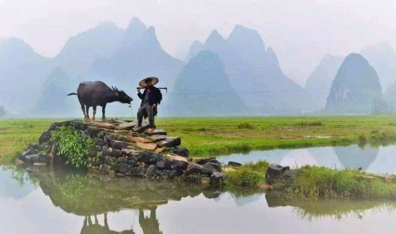 【荣耀中国】文学社*七绝·春景悦情入家门仇元青（泰安）（图5）