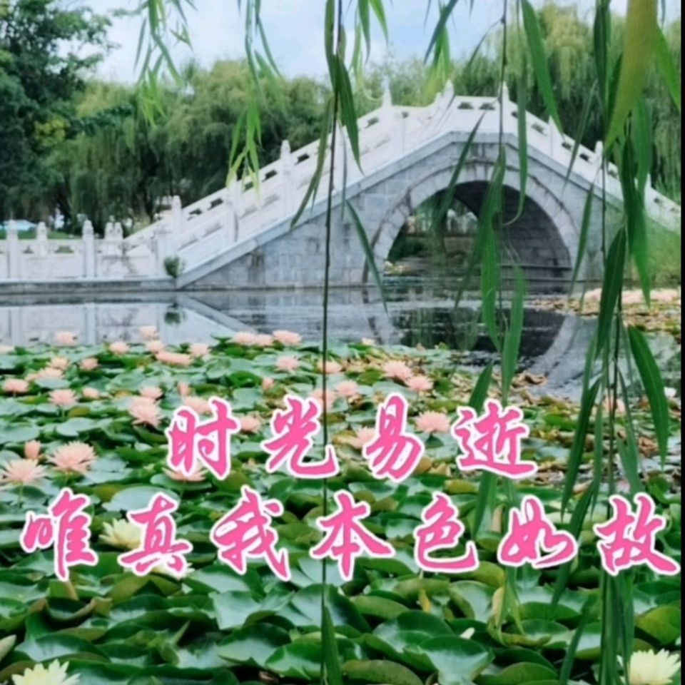 【新歌上线】歌曲《读你》演唱：安谧 编曲：安谧 杨穆白 作词：洪新爱（图2）