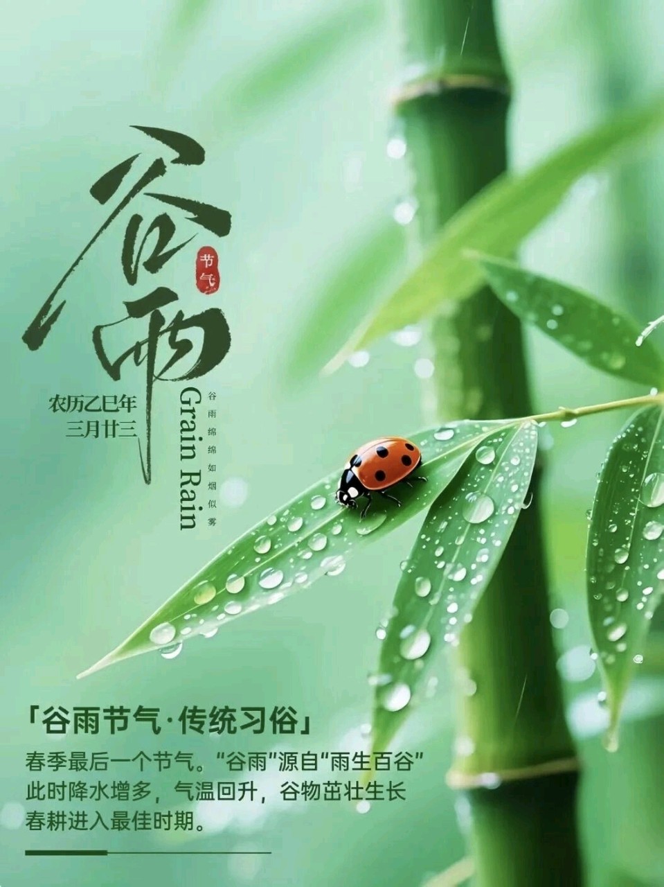 七律•咏竹泉村/作者：尹连荣（图4）