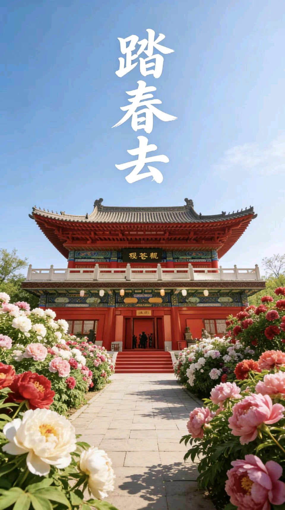 【都市头条向幸福出发编辑部】第15487期 菏泽牡丹园记：天香国色入画来 朗诵/苌彦凤 作者/雄鹰（图9）