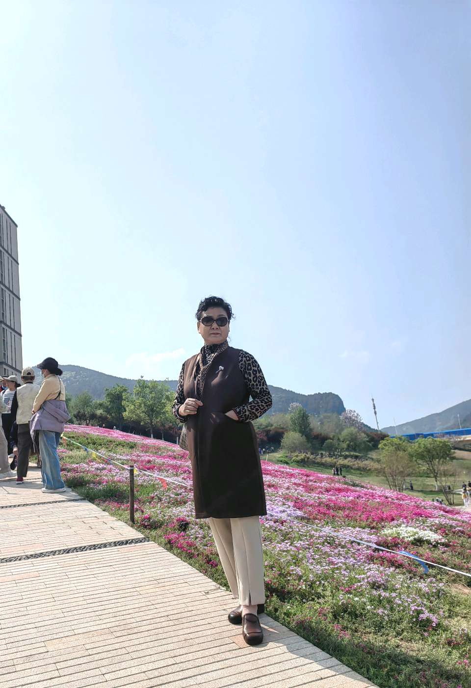 福禄考花海🌸（图10）