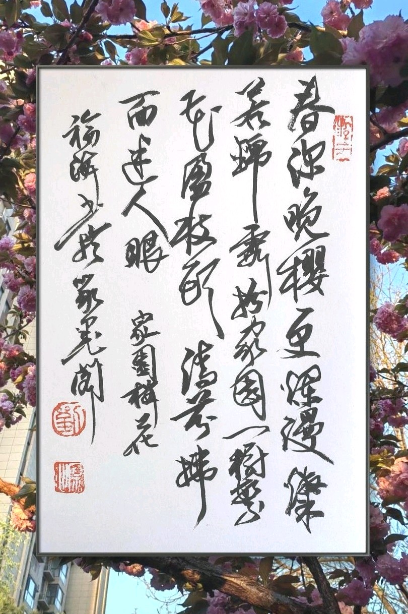 樱花扮家园🌸（图3）