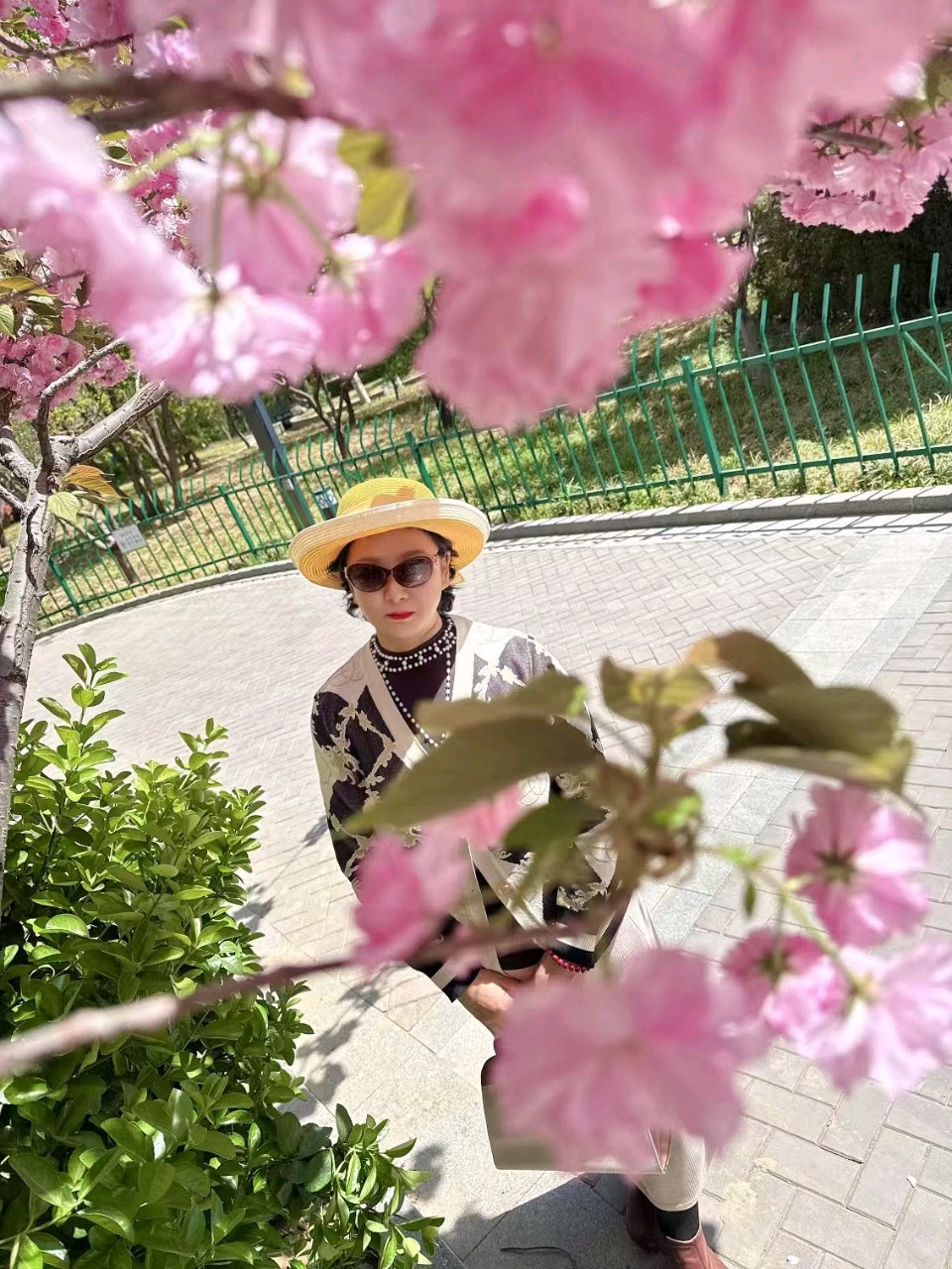 樱花扮家园🌸（图8）