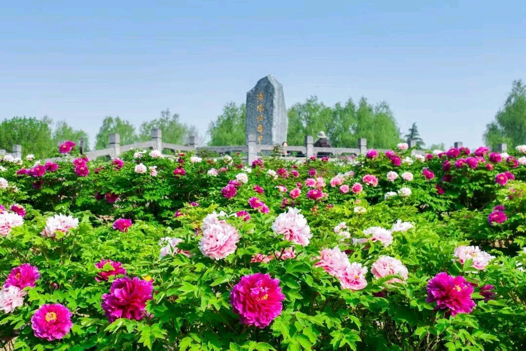拜谒东汉定远侯陵园及博物馆有感
