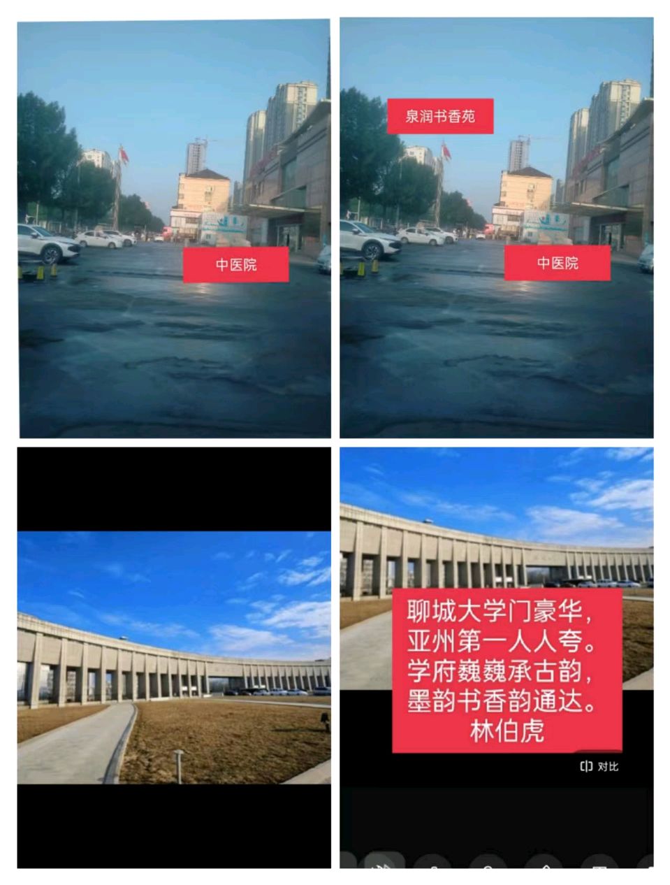 【茌山诗苑】山东林伯虎‖春辉映照文化路