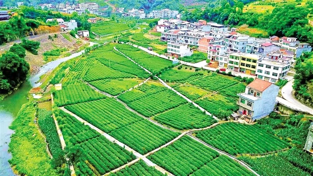 【荣耀中国】文学社*七律·谷雨李德政（安康）（图4）