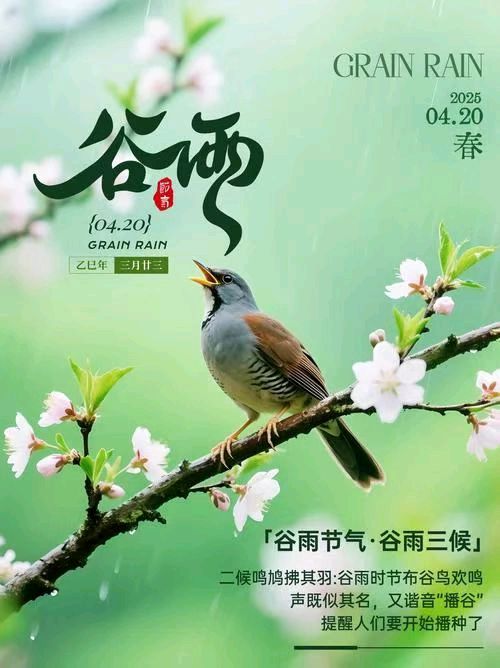 【荣耀中国】文学社*谷雨（新韵）作者/李俊清（甘肃）（图5）