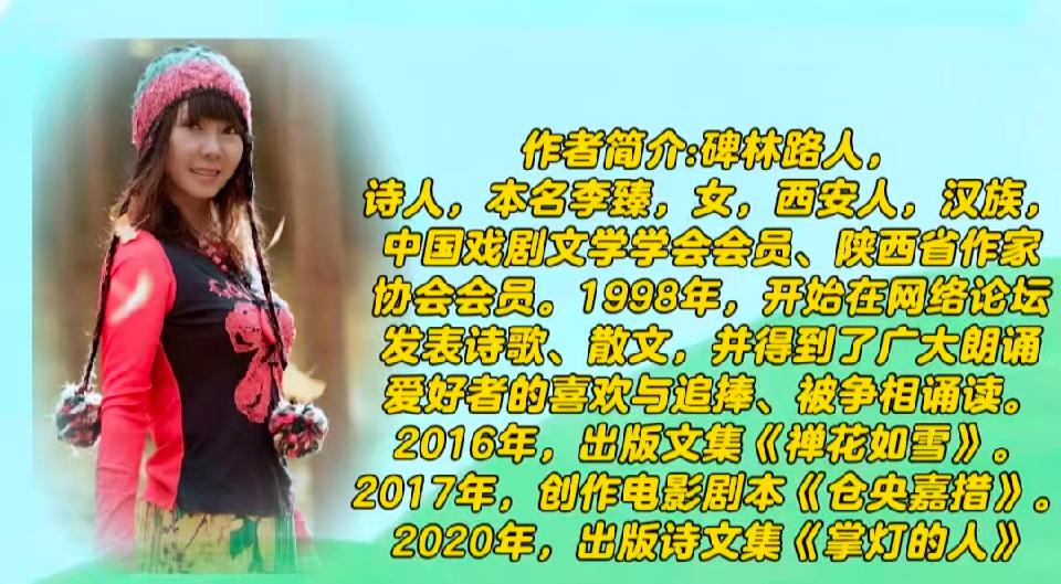 作者——碑林路人