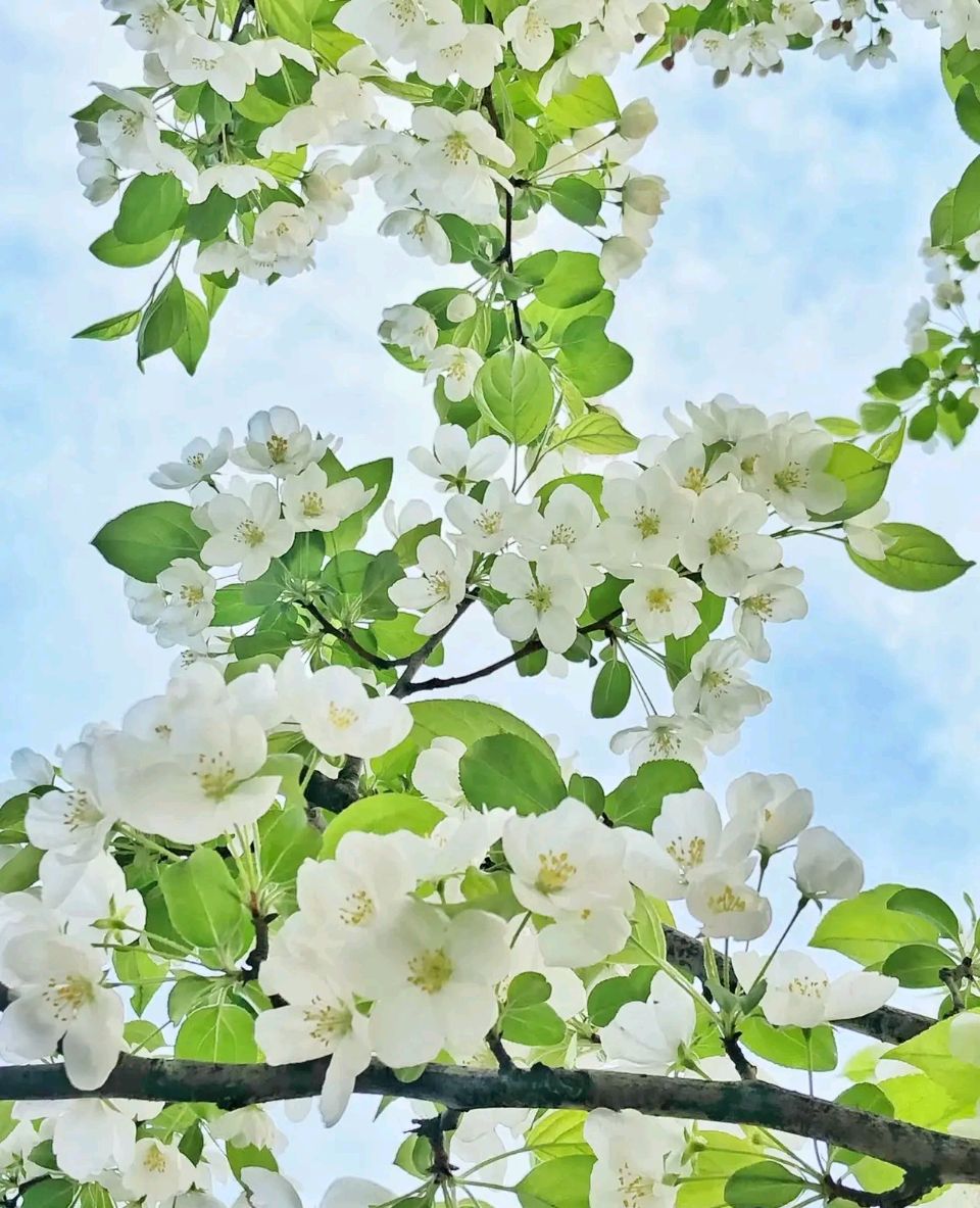 【神州源流诗苑】第1487期佳词周刊(图7)