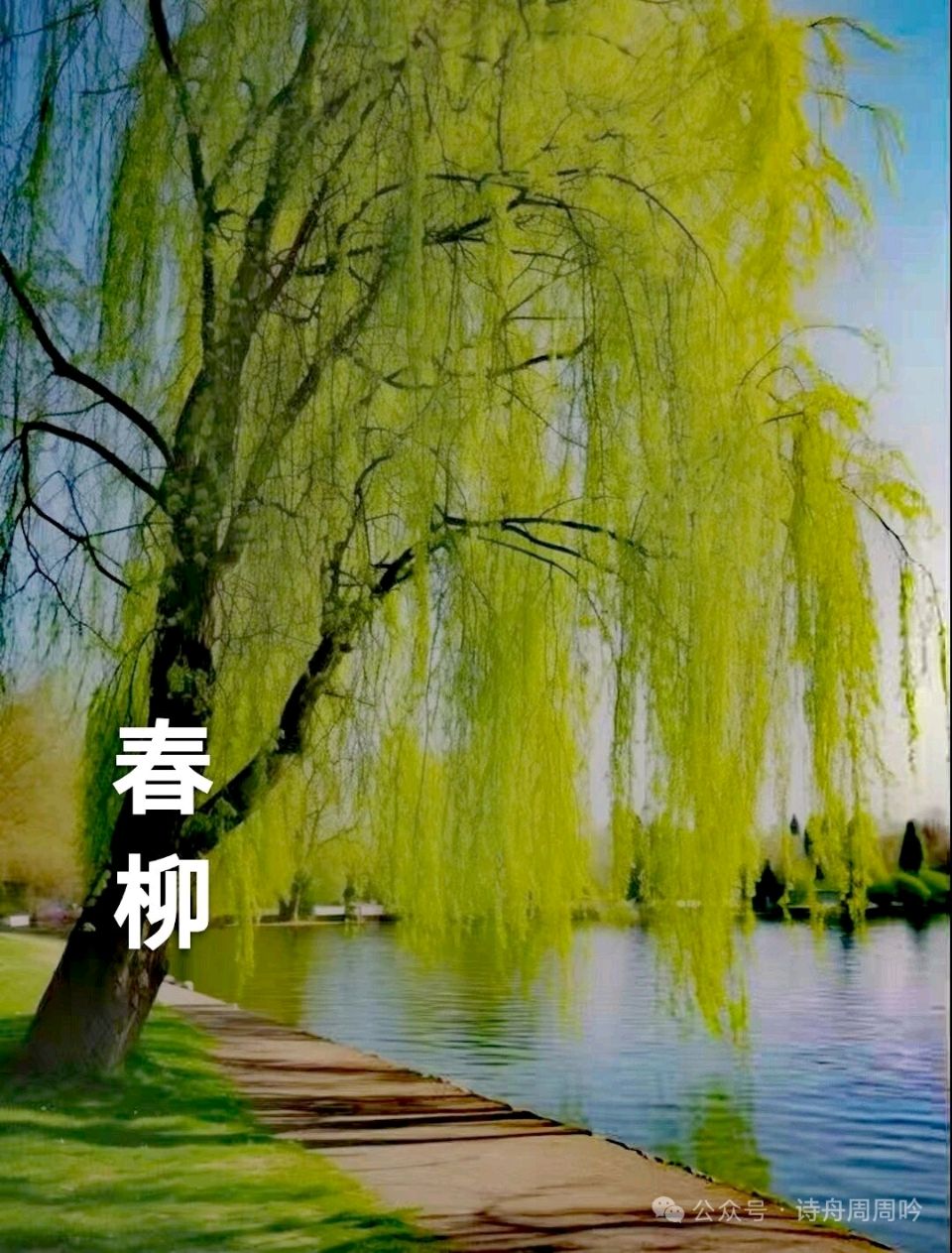 【神州源流诗苑】第1487期佳词周刊(图14)