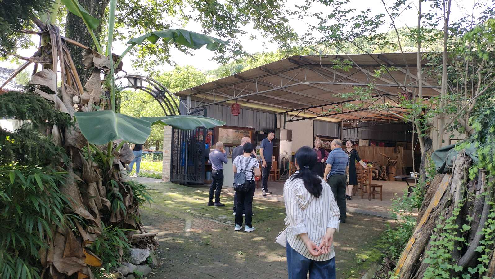中医药专家李冬松、李广昌为桃花岛康养项目支招（图3）
