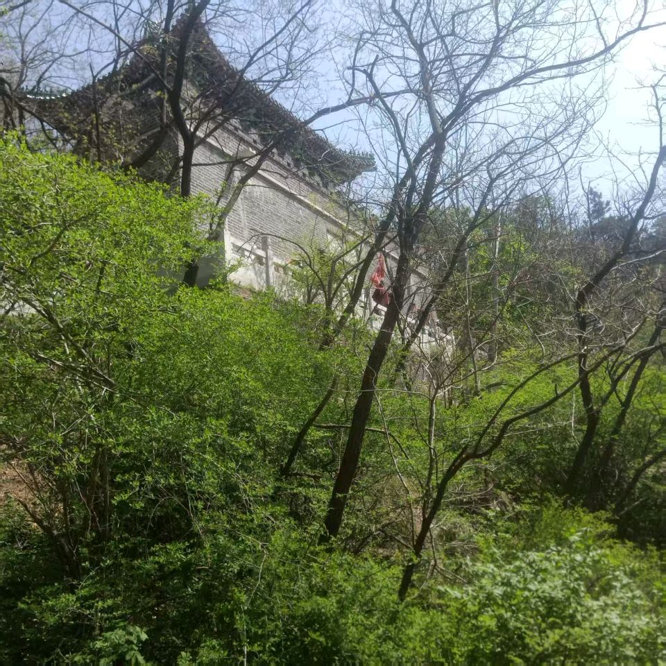 【荣耀中国】文学社*五绝 南山春欢文／南山翁（图4）