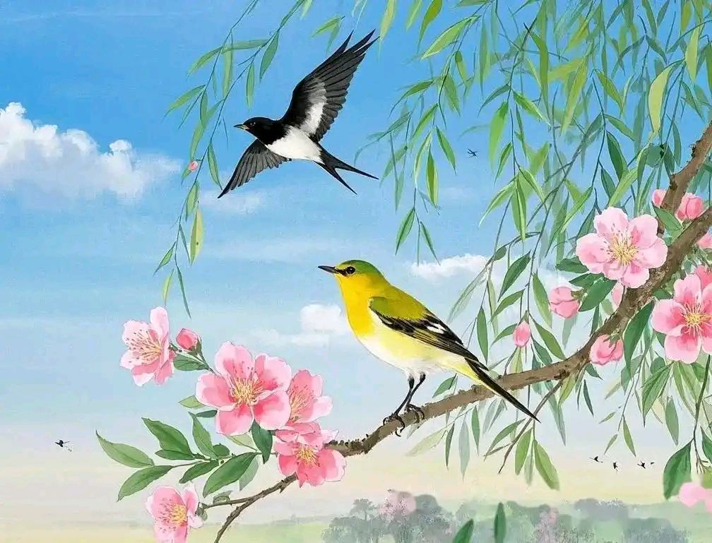 农家槐花 作者:李辉（图4）