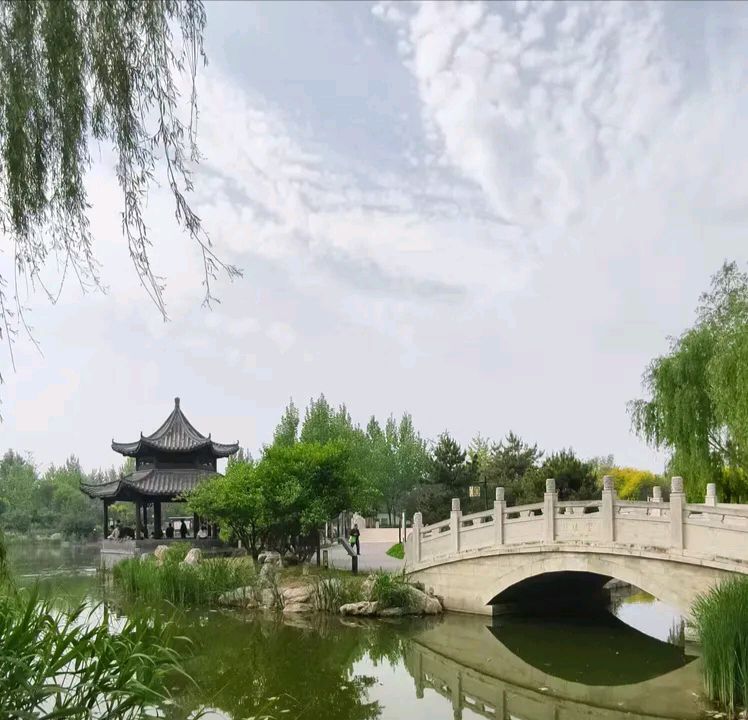 鹧鸪天.春游兴华公园 作者:朱文庆（图2）