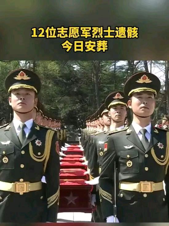 英雄回家 —观第十三批在韩志愿军烈士遗骸归国安葬仪式有感/作者：戴建中（图4）