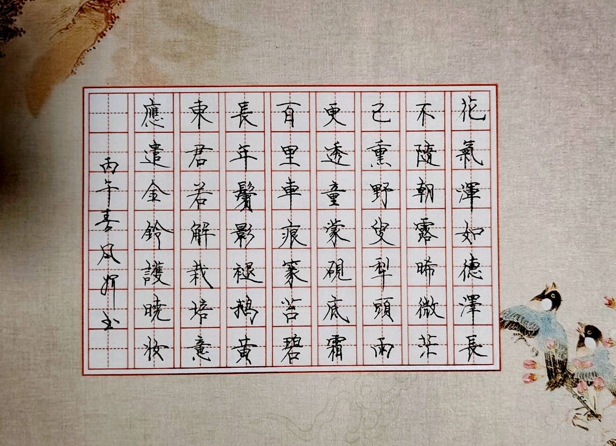 【都市头条向幸福出发编辑部】第15549期 金黄的油菜花 如月（图7）
