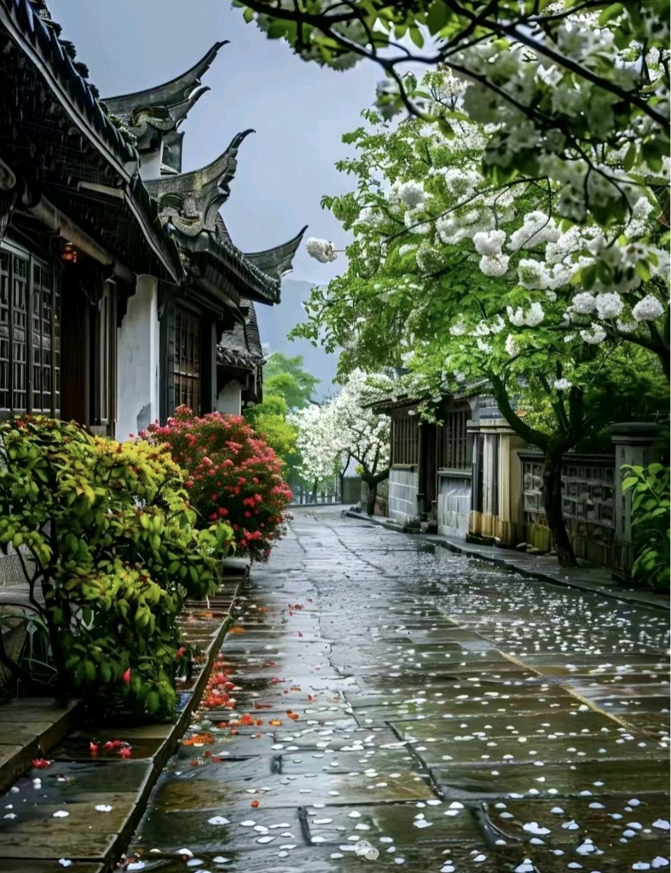 【枫雅汇看图约诗】第435期《暮春》（图16）