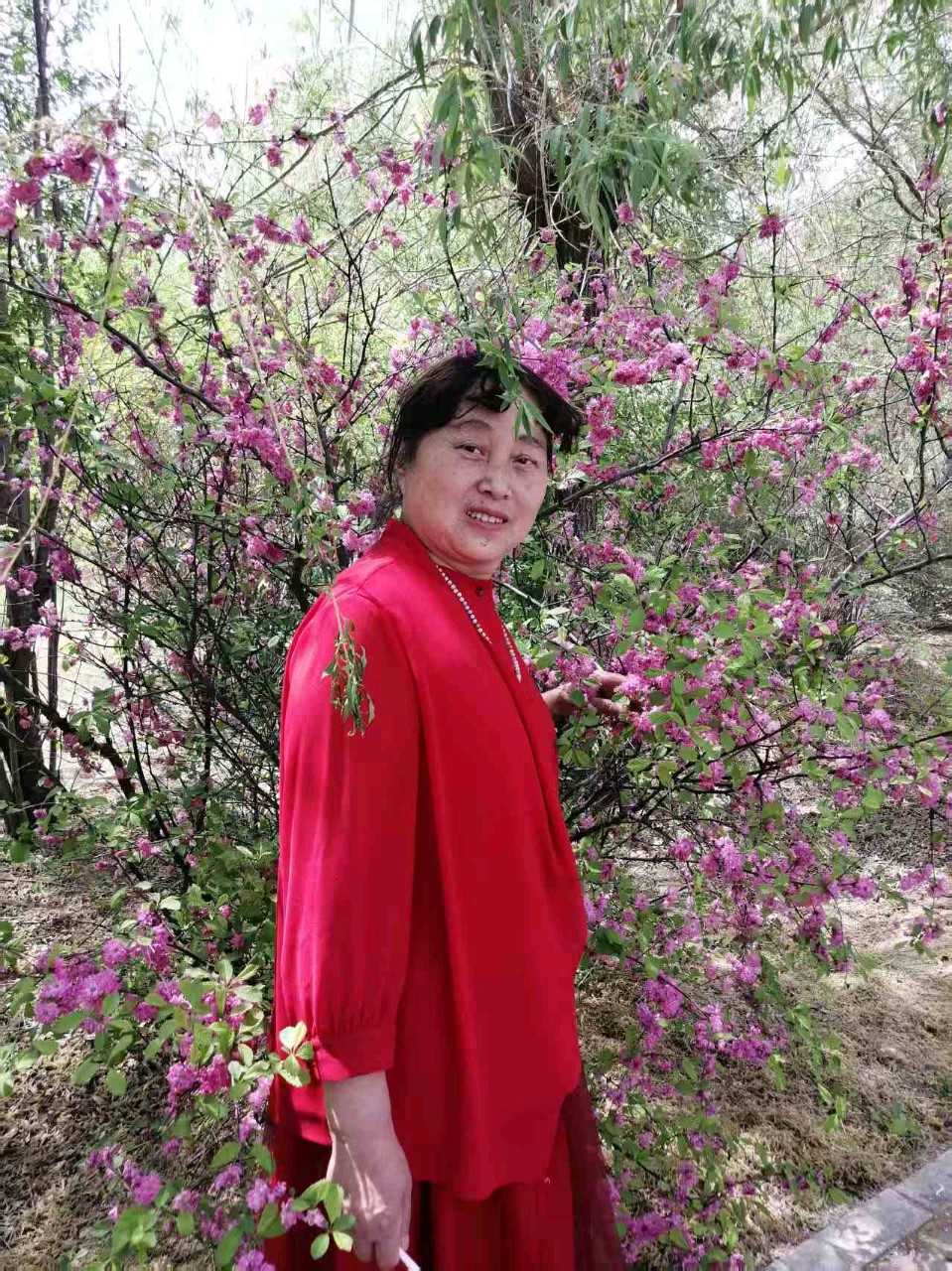 天鹅湖艺术团庆祝五一晚会节目展播（图12）