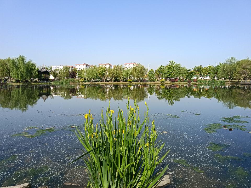 微信图片_20260430204348_106_8 微信图片_20260430204348_106_8