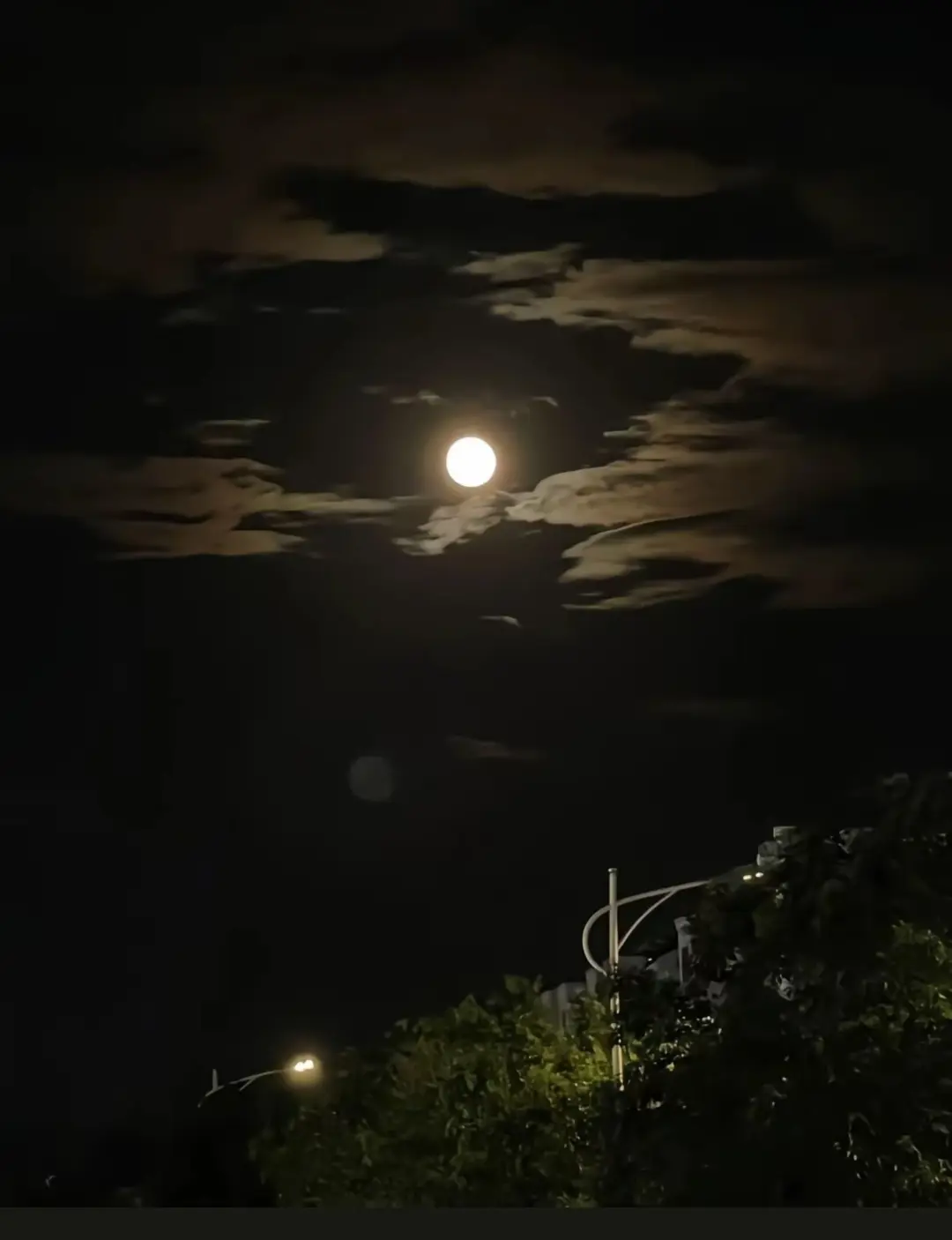 想你的时候看月亮 文/明长春 江苏滨海/南京条约（图3）