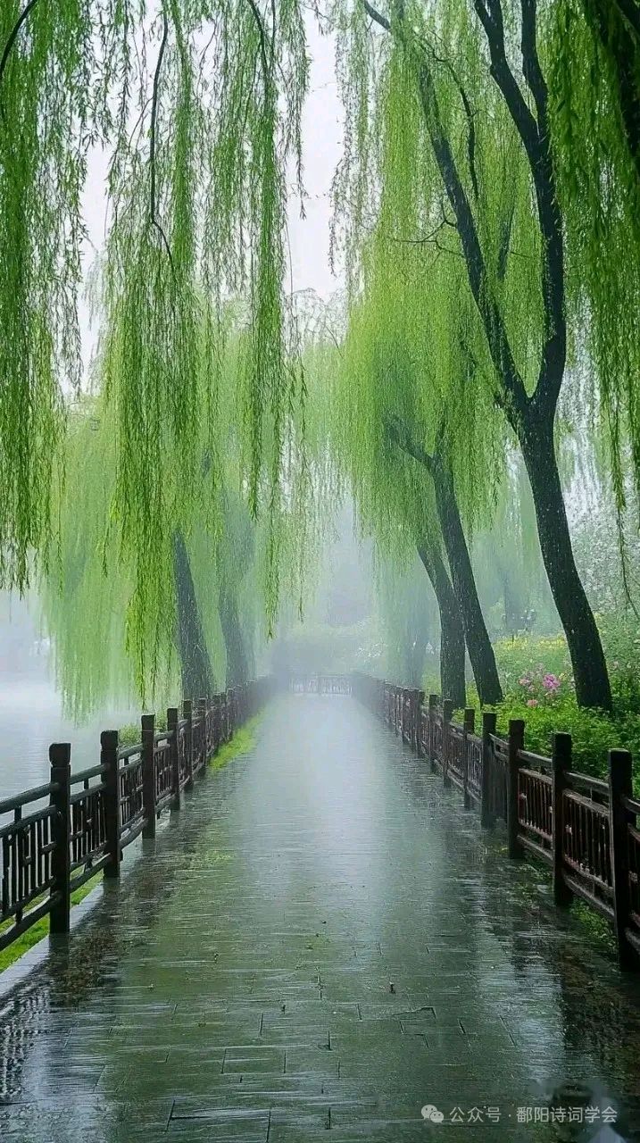 《临江仙 • 江南春色》（贺铸体）文/梁正明（重庆）（图3）