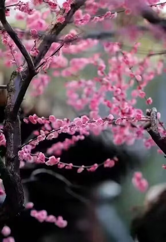春暮1 春暮1