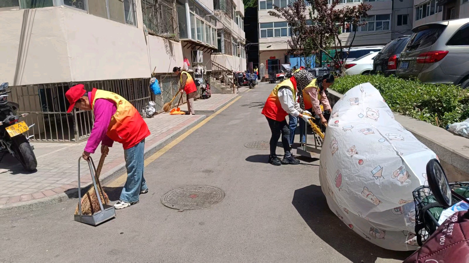 劳动焕新社区 共筑洁净家园（图4）