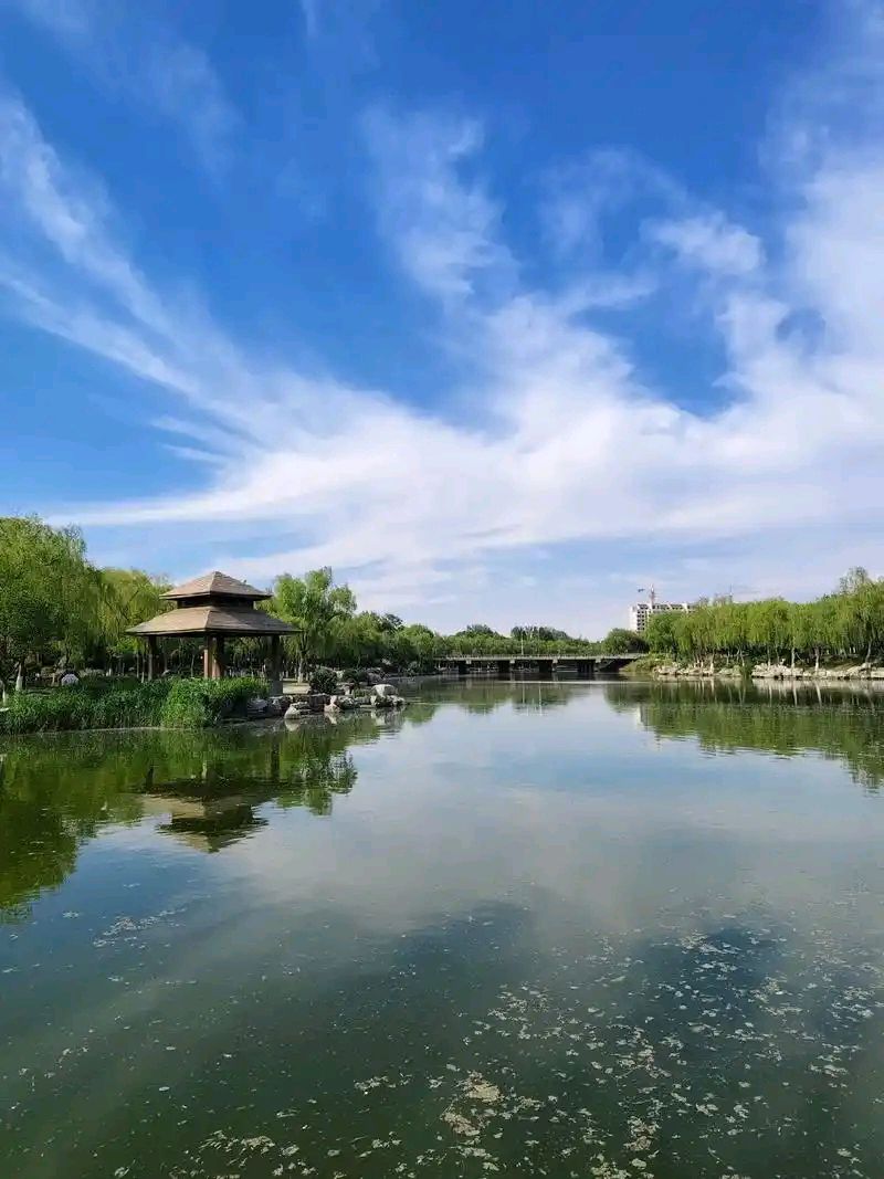 立夏吟句 作者:若水（图4）