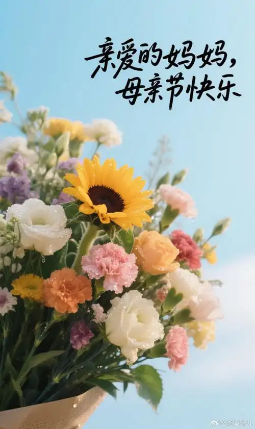 【神都诗社】第155期《致母亲》（图26）